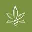 logo - CannabisMD TeleMed - Norfolk | Virginia Marijuana Doctor - Virginia Marijuana Card
