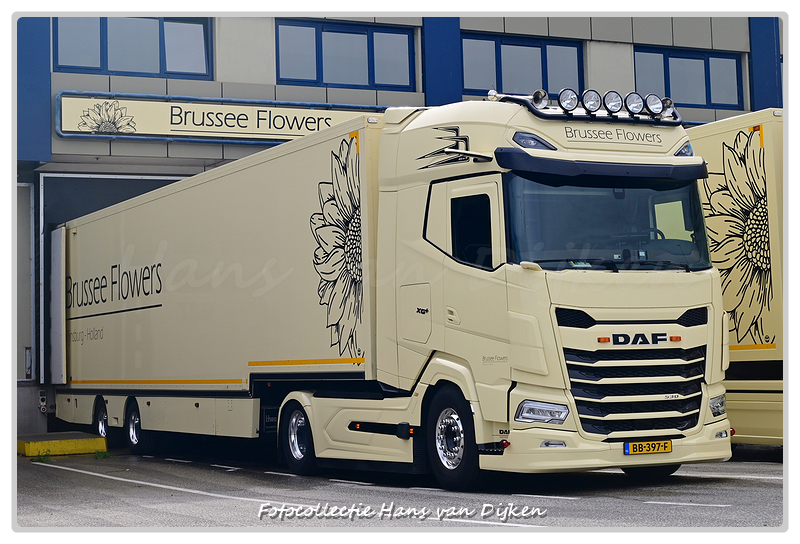 Brussee Flowers BB-397-F-BorderMaker - 