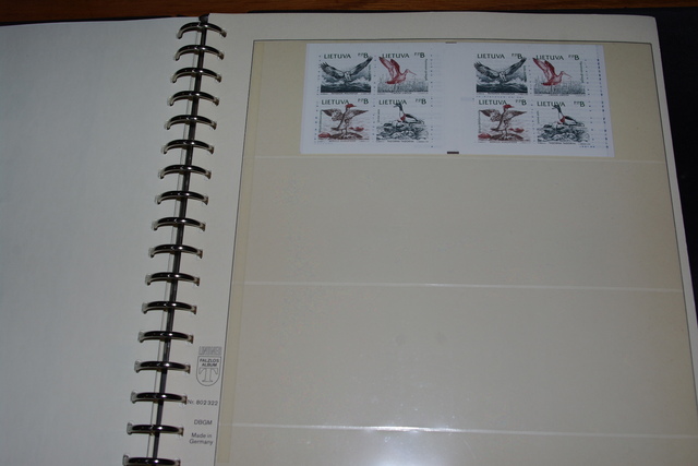 IMGP7887 Litauen 1990-2003 Lindner juodas