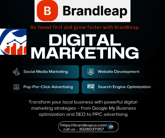 Website Development (3) Picture Box