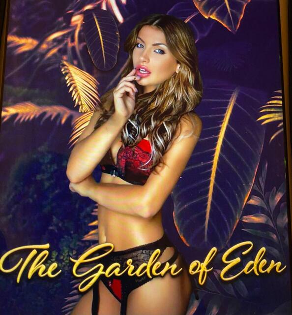 Top-rated Escort Agency in Cape Town Picture Box