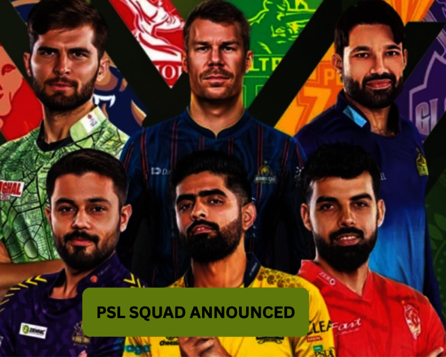 11 GET CRICKET INISGHTS