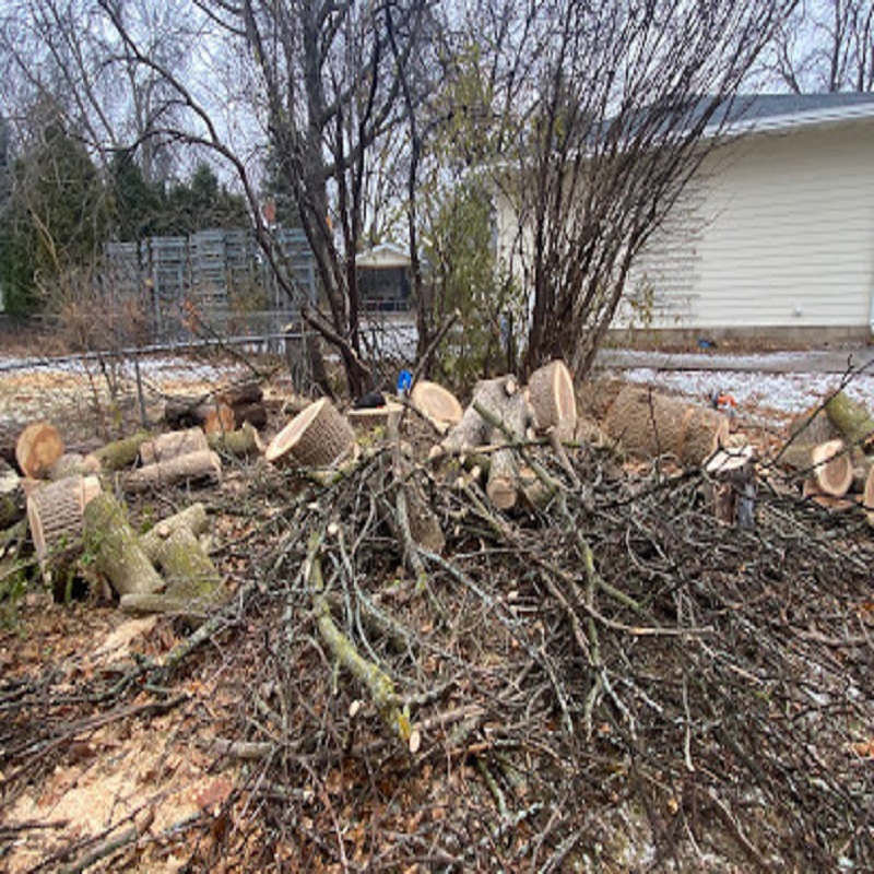 800 Tree trimming