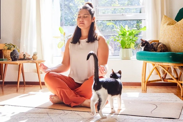 imgi 95 rs=w 1023,m Casita Bodywork