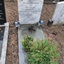 John en Dolly plantjes pote... - R.I.P. Father 1915-1992 & Mother 1921-2012
