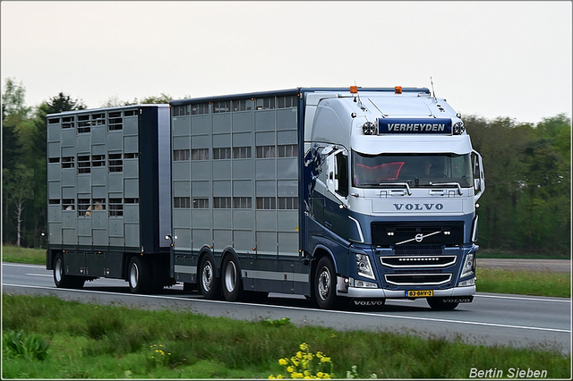 DSC 5616b-border 23-04-2025