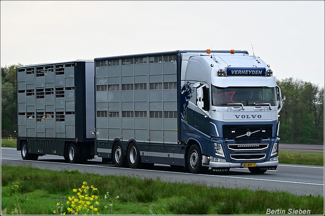 DSC 5617-border 23-04-2025