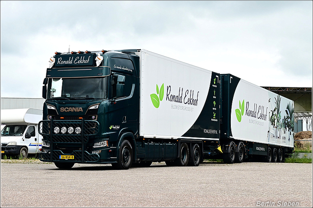 DSC 9485-border 11-07-2025