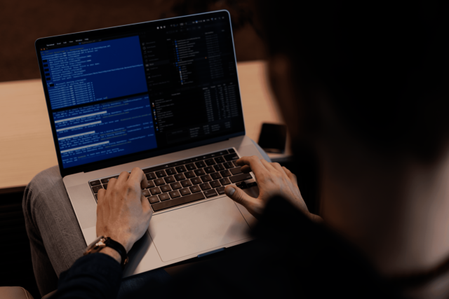 Software Development Company in Rohtak Picture Box