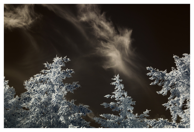 Kin Beach 2025 3 Infrared photography