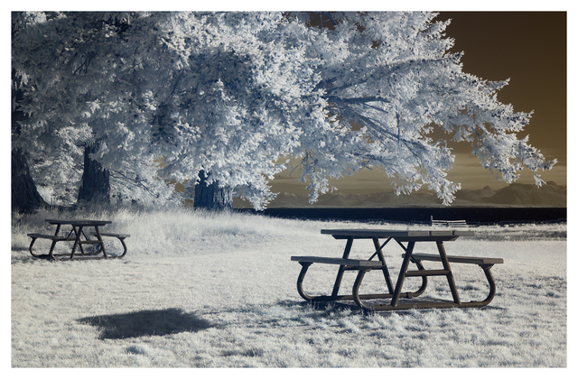 Kin Beach 2025 1 Infrared photography