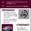PDR-Market-Statistics-Overview - PDR Market Statistics Overview