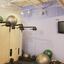 Physiotherapy Brampton (2) - Brampton Physiotherapy + Wellness Institute