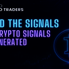 Behind the Signals How Cryp... - VCT