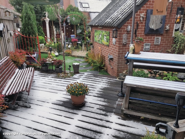 Achtertuin 23-11-25 Garden 2023 & 2024 & 2025