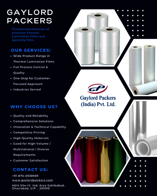 Gaylord Packers Picture Box