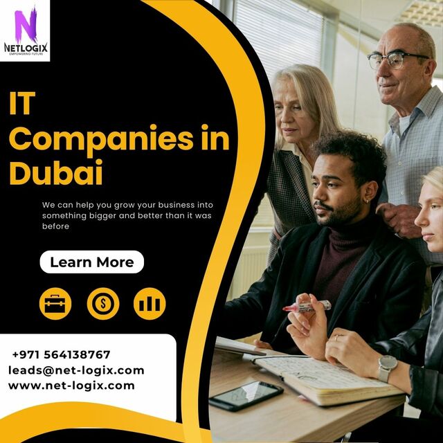 IT Companies in Dubai (29) Picture Box