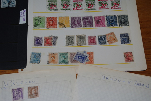 IMGP8132 4,5 kg deze Danija Lietuva P.Amerika Arg.Bra.Cil Bulg It Port