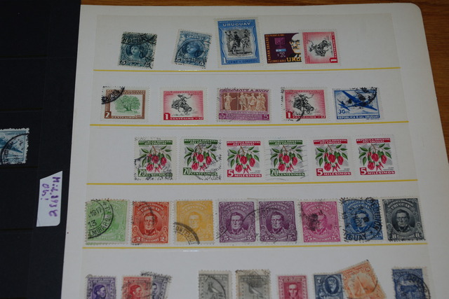 IMGP8133 4,5 kg deze Danija Lietuva P.Amerika Arg.Bra.Cil Bulg It Port