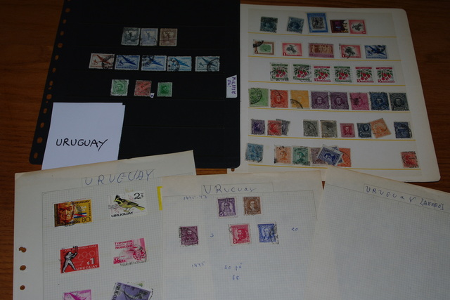 IMGP8135 4,5 kg deze Danija Lietuva P.Amerika Arg.Bra.Cil Bulg It Port