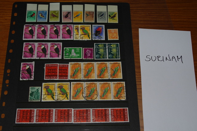 IMGP8137 4,5 kg deze Danija Lietuva P.Amerika Arg.Bra.Cil Bulg It Port