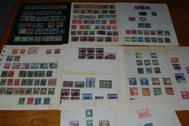 IMGP8168 4,5 kg deze Danija Lietuva P.Amerika Arg.Bra.Cil Bulg It Port