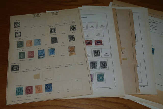 IMGP8192 4,5 kg deze Danija Lietuva P.Amerika Arg.Bra.Cil Bulg It Port