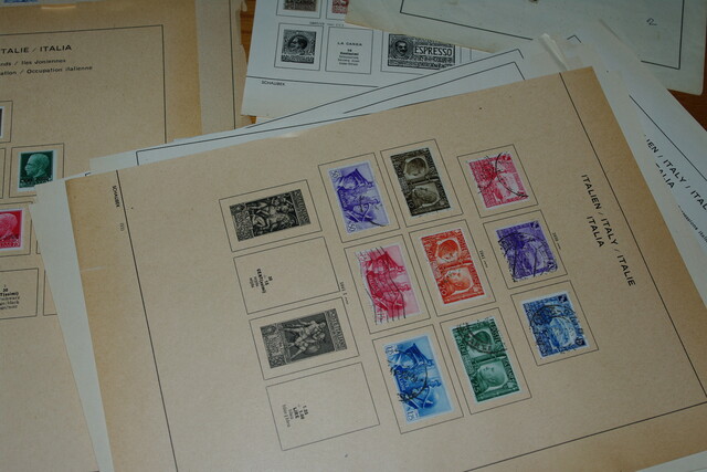 IMGP8193 4,5 kg deze Danija Lietuva P.Amerika Arg.Bra.Cil Bulg It Port