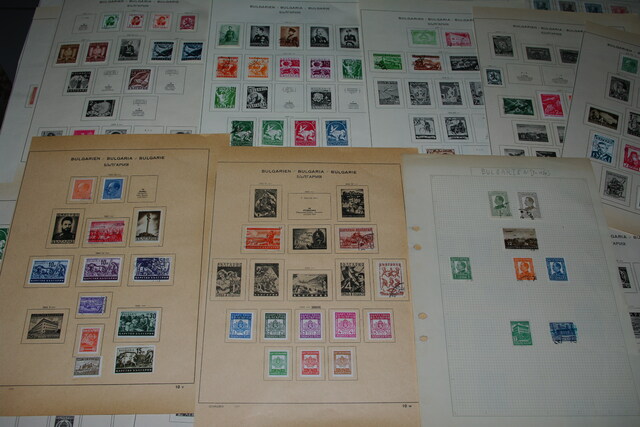 IMGP8202 4,5 kg deze Danija Lietuva P.Amerika Arg.Bra.Cil Bulg It Port