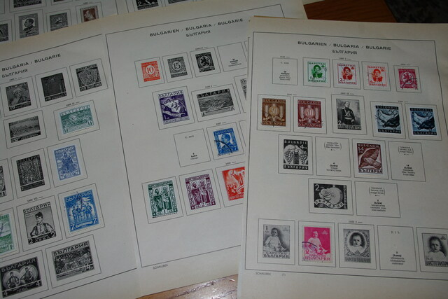 IMGP8203 4,5 kg deze Danija Lietuva P.Amerika Arg.Bra.Cil Bulg It Port