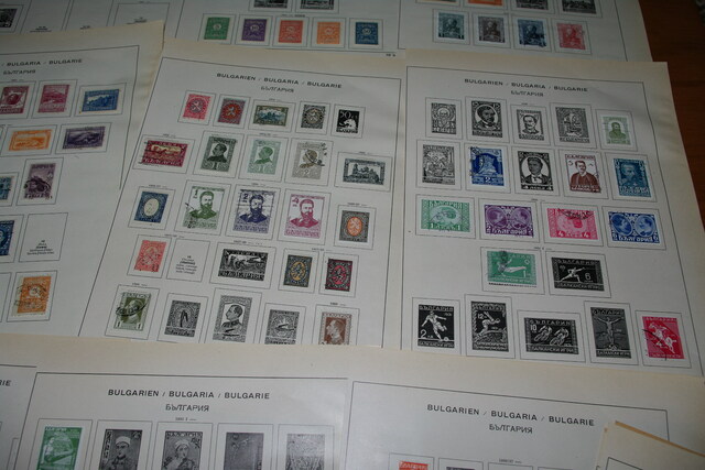 IMGP8205 4,5 kg deze Danija Lietuva P.Amerika Arg.Bra.Cil Bulg It Port