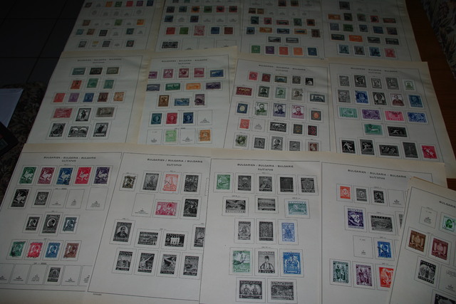 IMGP8209 4,5 kg deze Danija Lietuva P.Amerika Arg.Bra.Cil Bulg It Port