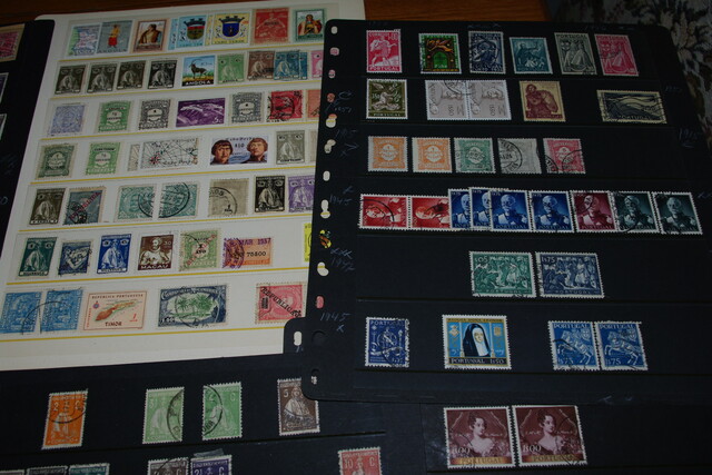 IMGP8222 4,5 kg deze Danija Lietuva P.Amerika Arg.Bra.Cil Bulg It Port