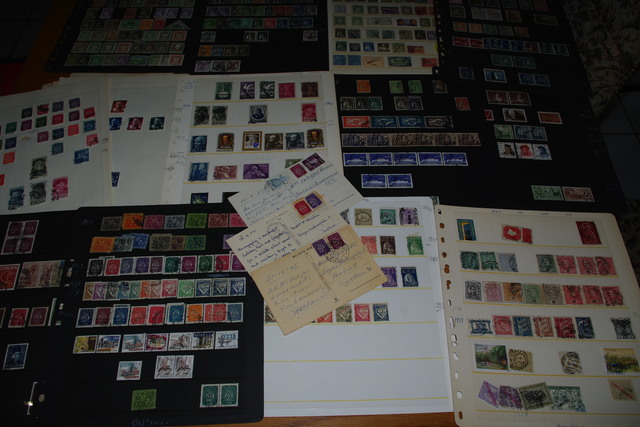 IMGP8224 4,5 kg deze Danija Lietuva P.Amerika Arg.Bra.Cil Bulg It Port