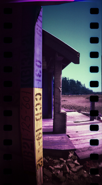 Sprocket Rocket 2025 2 Film photography