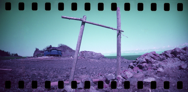 Sprocket Rocket 2025 5 Film photography