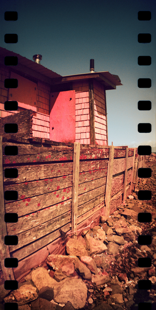 Sprocket Rocket 2025 3 Film photography