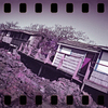 Sprocket Rocket 2025 11 - Film photography