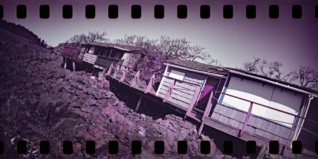 Sprocket Rocket 2025 11 Film photography
