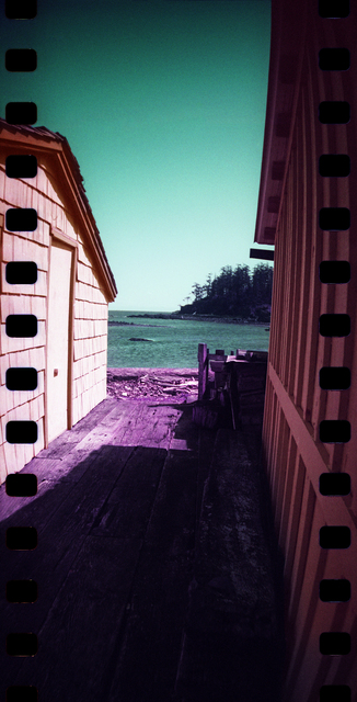 Sprocket Rocket 2025 7 Film photography