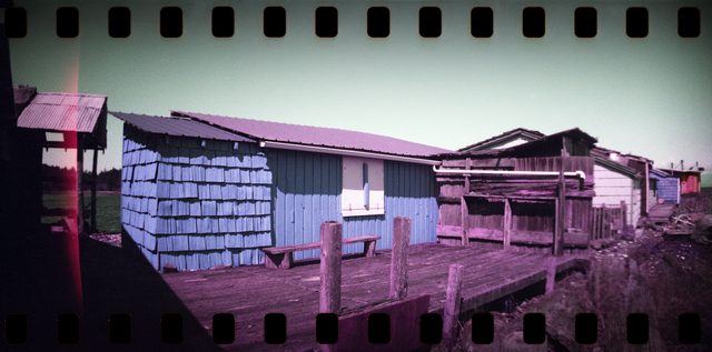 Sprocket Rocket 2025 6 Film photography