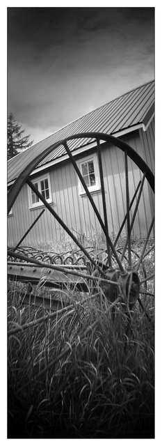 Sprocket Rocket 2025 23 Film photography