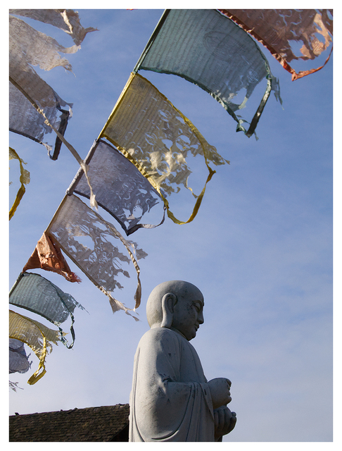 Flags 2025 1 Vancouver Island