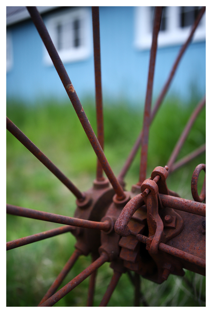 Spokes and Grass 2025 1 Vancouver Island