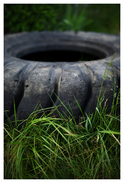 Tire and Grass 2025 1 Abandoned