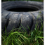 Tire and Grass 2025 1 - Abandoned