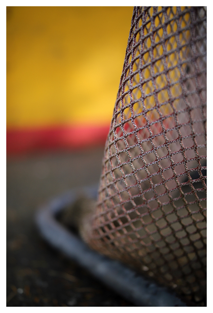 Old Rink 2025 5 Vancouver Island