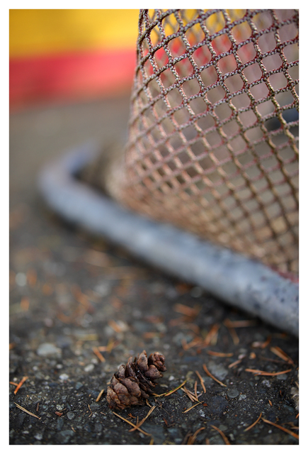 Old Rink 2025 6 Vancouver Island