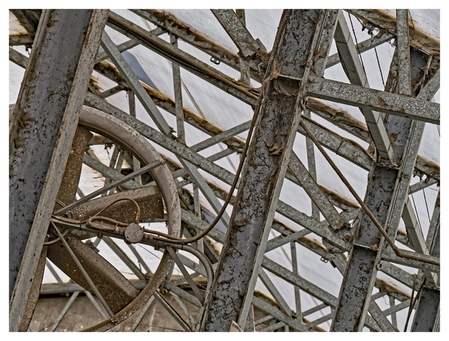 Cheese Farm 2025 13 Vancouver Island