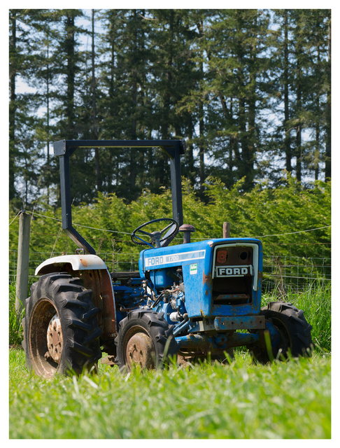 Cheese Farm 2025 4 Vancouver Island